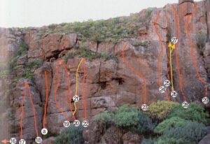 Guias de Arico