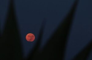 Luna de sangre Luna roja 7 de septiembre