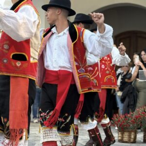 Típico en el Porís a Abona