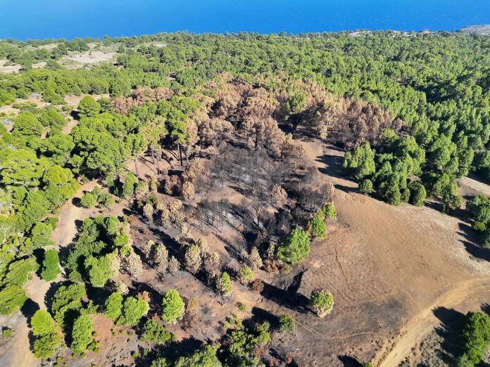 Investigaciones del incendio