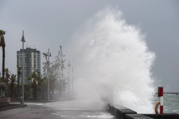 Temporal Claudia